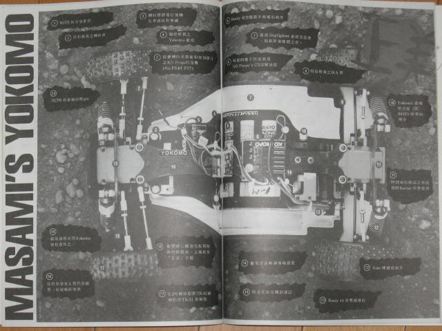insect specimen 138.jpg